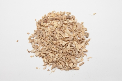 ジンジャー（Zingiber officinale）
― 冷え・巡り・消化を内側から整える加温ハーブ